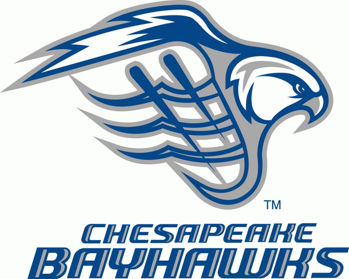 Chesapeake Bayhawks 2010-Pres Primary Logo iron on transfers for clothing